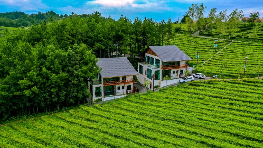 Wanzhou Phoenix Flower and Fruit Mountain Scenic Area. (Photo provided by Chongqing Municipal Culture and Tourism Development Commission)