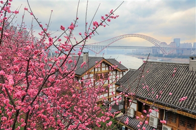 重庆三洞桥民俗风情街图片
