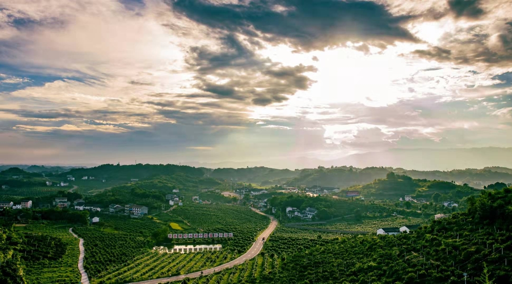 Zhongxian County Three Gorges Orange Village Garden Complex. (Photo provided by Chongqing Municipal Culture and Tourism Development Commission)