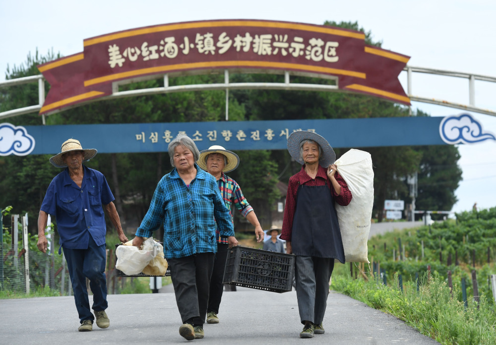 乡村振兴 | 涪陵：美心红酒小镇获评第二届重庆乡村振兴十大示范案例2