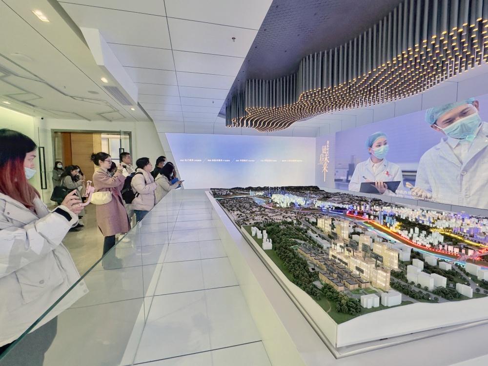 走进区域看发展｜在重庆数字经济产业园 你能驾驶“飞机”翱翔蓝天2