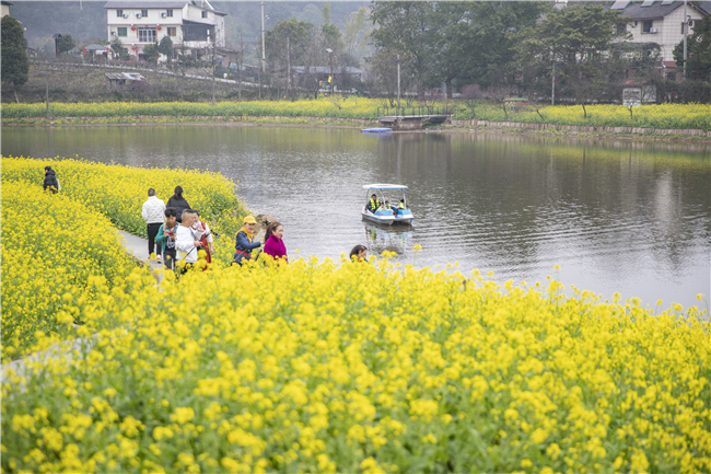 游客在巴南区云林天乡景区观赏油菜花。新华社记者 黄伟 摄