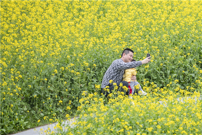游客在云林天乡景区观赏油菜花。新华社记者 黄伟 摄