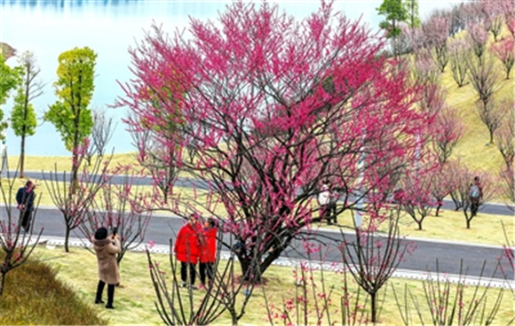 三合湖湿地公园花开遍地吸引游人打卡。记者 龚长浩 摄