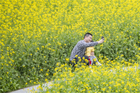 2月18日，游客在重庆市巴南区二圣镇集体村云林天乡景区观赏油菜花。新华社记者 黄伟 摄