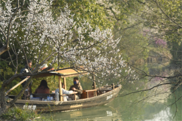 2月18日，游客在西溪湿地乘船赏梅。新华社记者 翁忻旸 摄