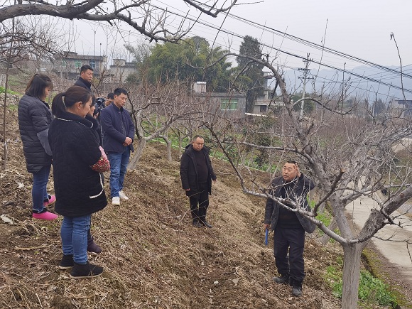 农技人员正在讲解春管技术。黔江区委宣传部供图 华龙网发
