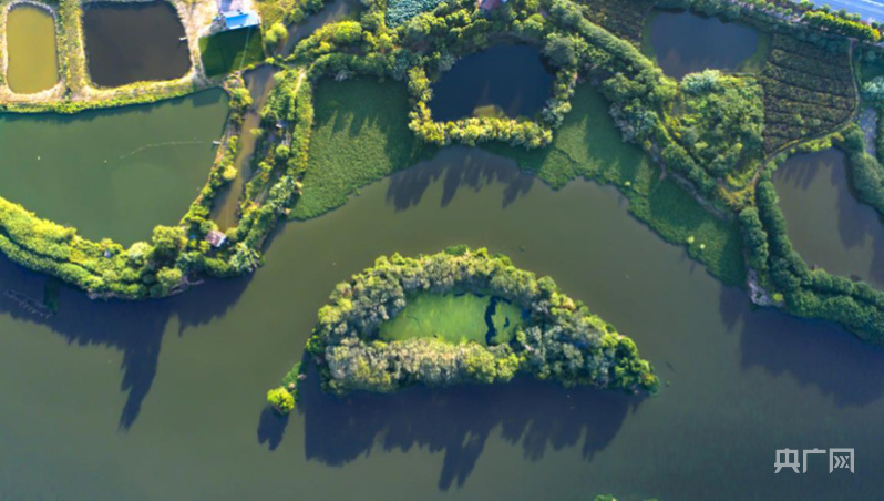 【大宏图·“县”在启航】江西南昌县：装配建筑“智”造新高度 数字农场“慧”就新图景8