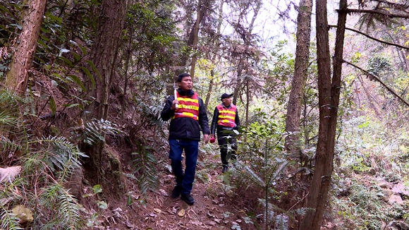 北碚区护林员正在巡山护林。通讯员 田济申 摄