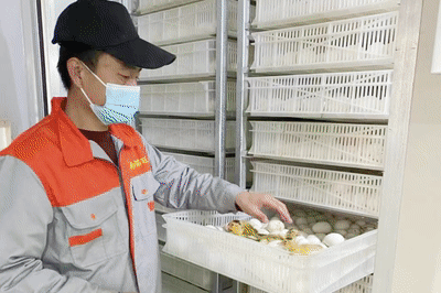 【大宏图·“县”在启航】江西南昌县：装配建筑“智”造新高度 数字农场“慧”就新图景10