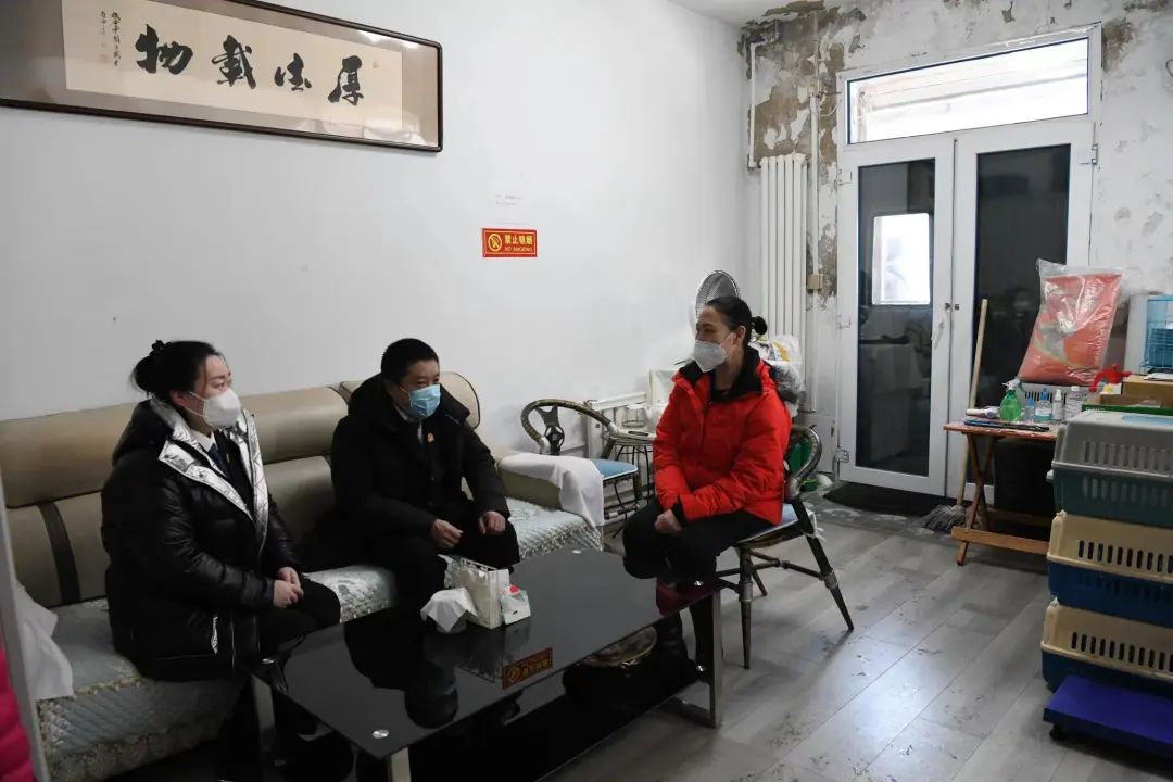 网购奶猫收货近十天后死亡，男子发视频引粉丝网暴货运公司被判赔3