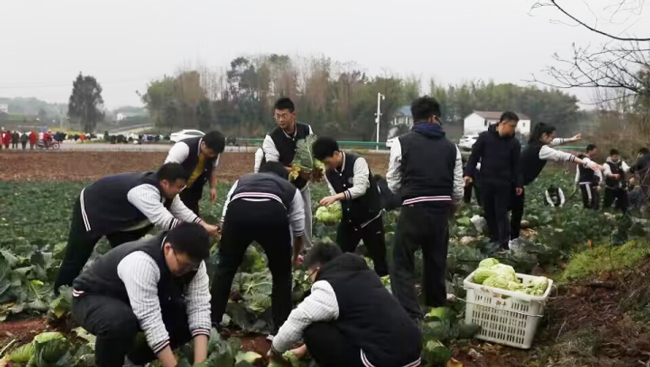 铜梁中学校劳动教育实践基地占地面积约8亩。铜梁区融媒体中心供图