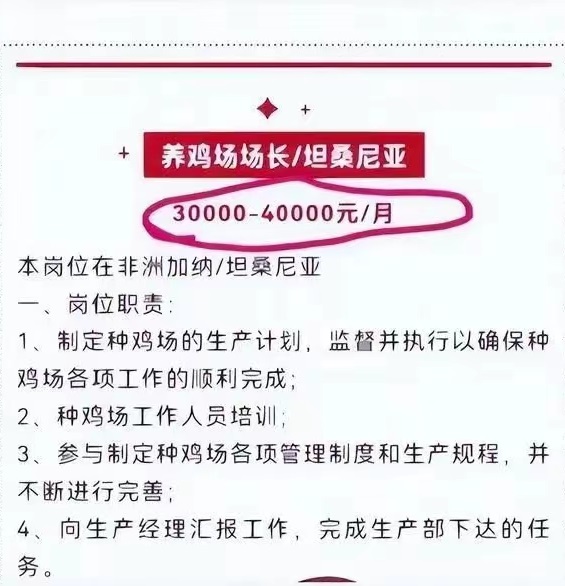 “非洲养鸡月薪4万”山东公司：对技术、管理能力要求很高 收到百余份简历合适的很少1