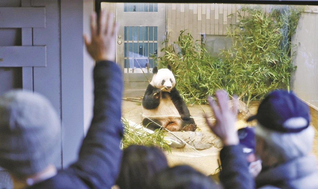 84年熊猫银币价格的简单介绍