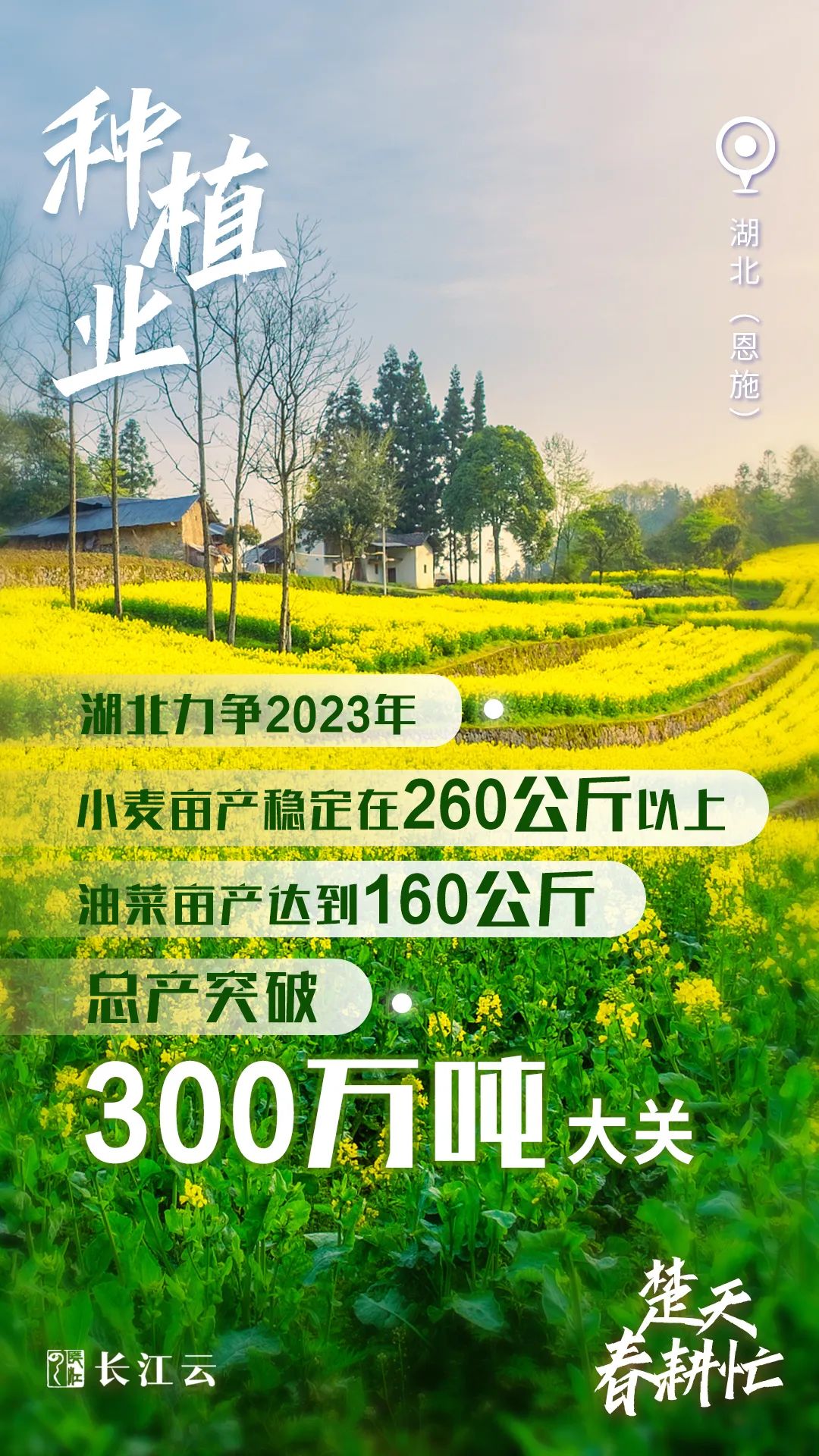 奋进的春天｜数说“楚天春耕忙”5