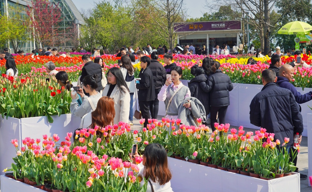 南山植物园春花盛开6