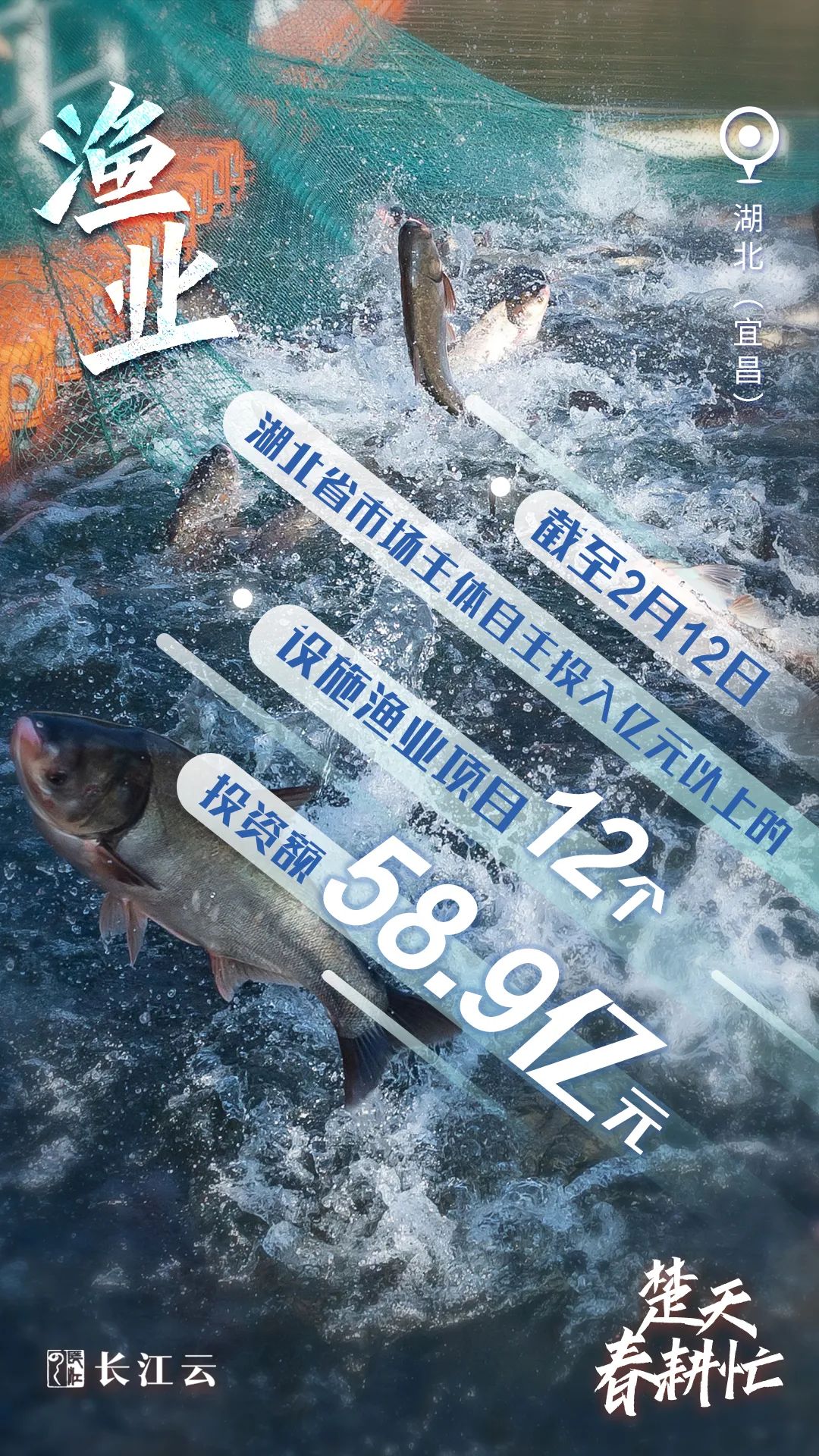 奋进的春天｜数说“楚天春耕忙”7