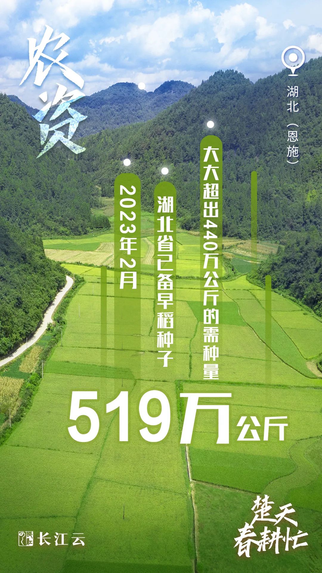 奋进的春天｜数说“楚天春耕忙”2