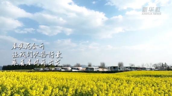 微视频｜花开沃野 春暖中国6