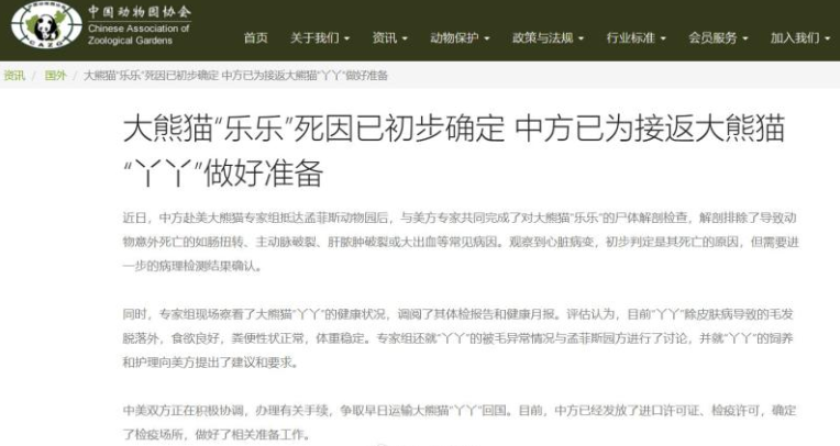 中国动物园协会:大熊猫“乐乐”死因已初步确定 中方已为接返大熊猫“丫丫”做好准备