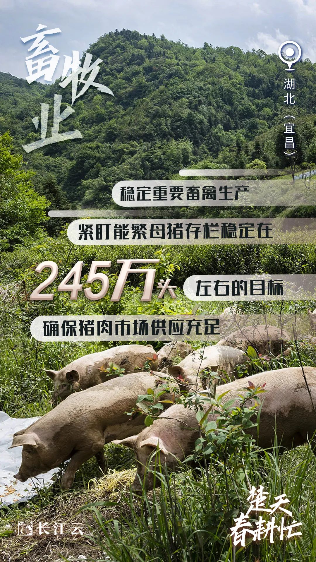 奋进的春天｜数说“楚天春耕忙”6