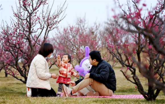 2月25日，游人在长安唐村梅园内赏梅休闲。新华社记者 刘潇 摄