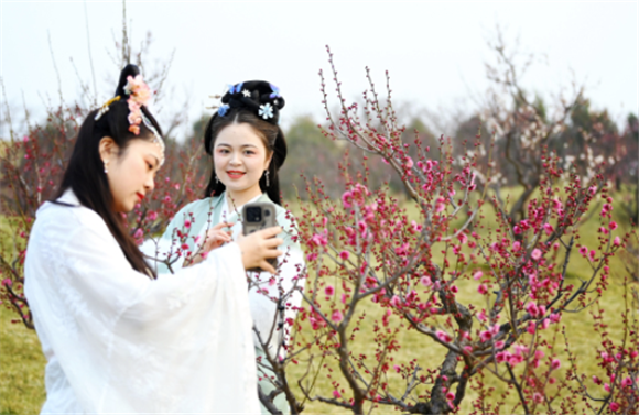 2月25日，古风爱好者在长安唐村梅园内拍摄视频。新华社记者 刘潇 摄