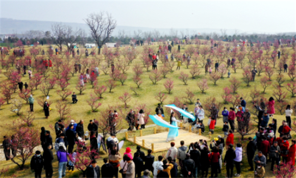 2月26日，游人在长安唐村梅园内赏梅（无人机照片）。新华社记者 刘潇 摄
