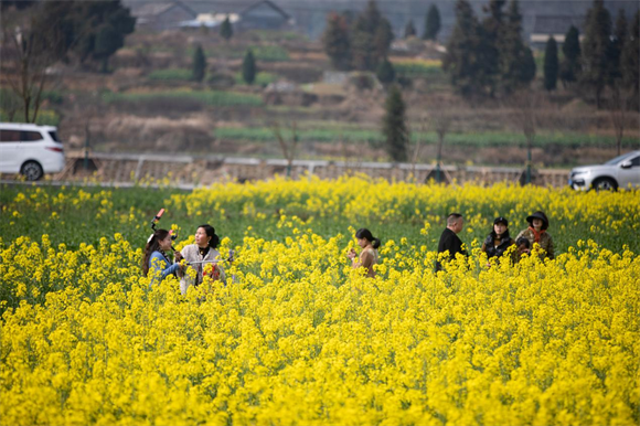 市民游客们正在油菜花田里拍照游玩。通讯员 胡程 摄