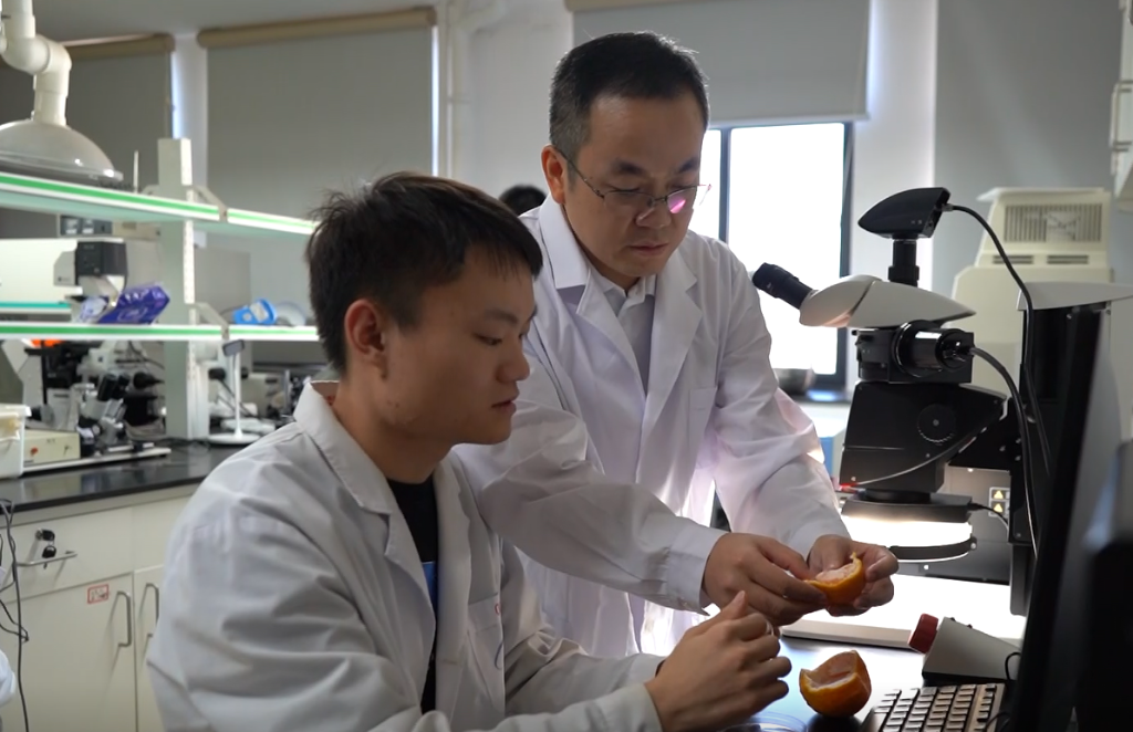蒋红波教授（右）在实验室对外来入侵生物进行研究 。受访单位供图