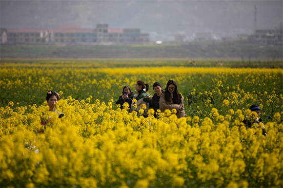市民们正在油菜花田里赏花游玩。通讯员 胡程摄