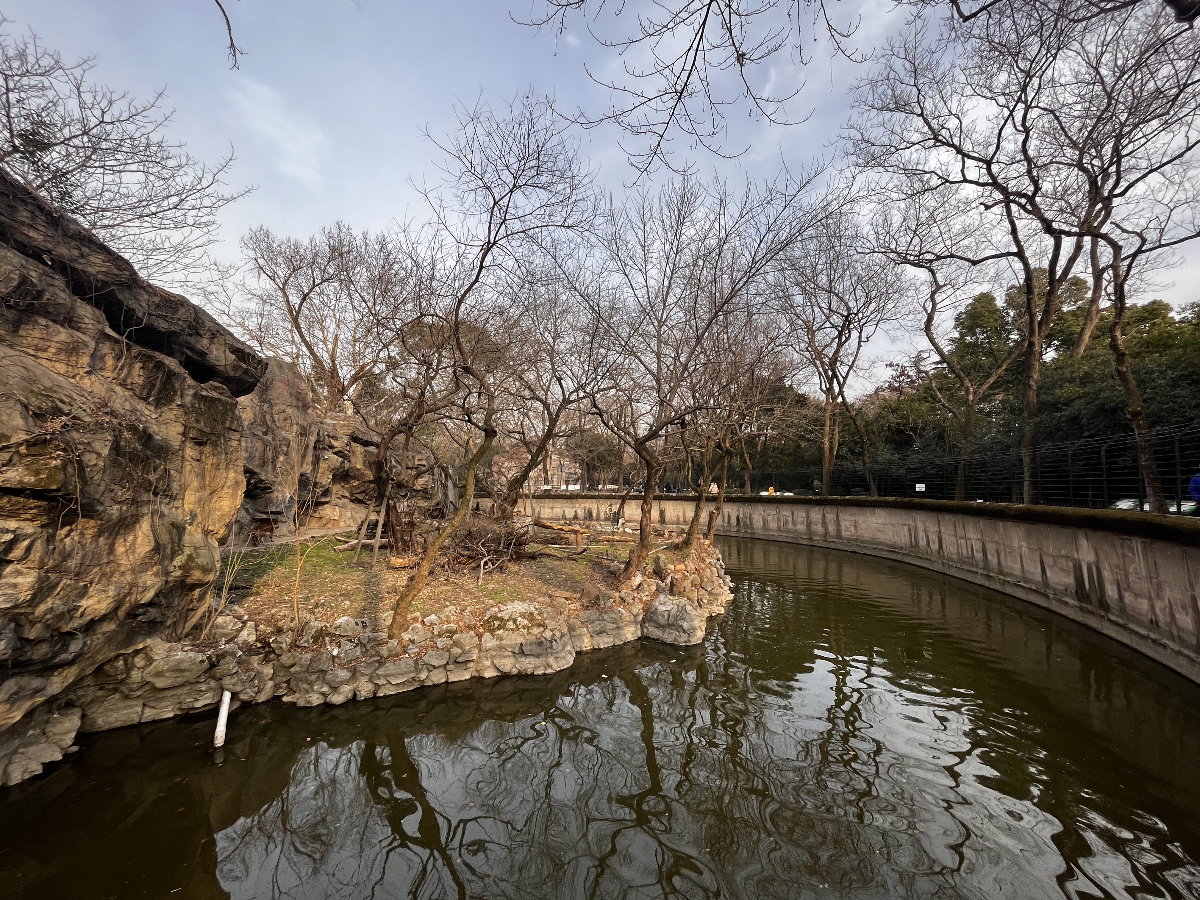 实探动物园幼虎溺亡现场:环虎活动区为水域,打捞处附近有摄像头2