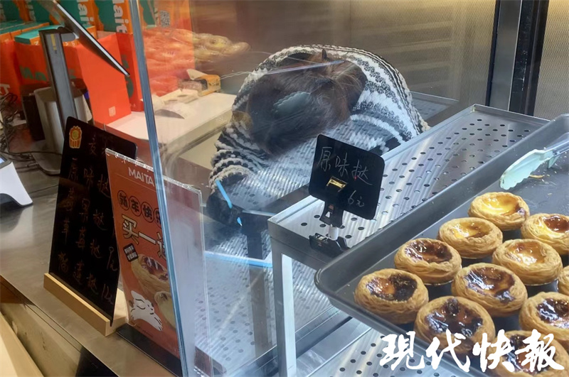南京有家“无声”甜品店，“大拇指弯曲两下代表谢谢”3