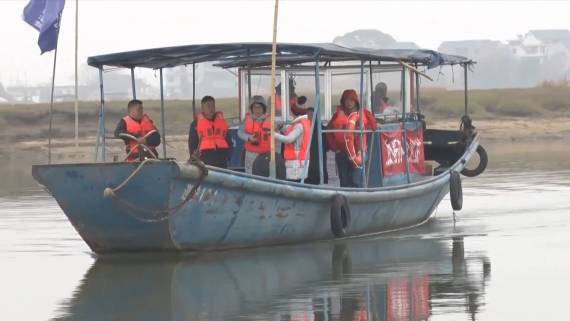 成群江豚在鄱阳湖逐浪戏水2