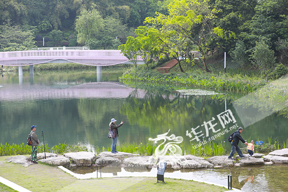 市民在两江新区的公园内游玩。华龙网-新重庆客户端 首席记者 李文科 摄