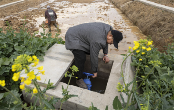 2月7日，农民在位于四川省泸县海潮镇的泸县种业现代农业园区里灌溉。新华社记者 江宏景 摄