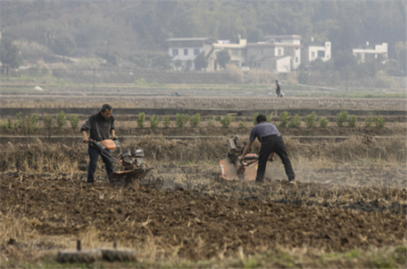 2月7日，在位于四川省泸县海潮镇的泸县种业现代农业园区里，农民用旋耕机整理田地。新华社记者 江宏景 摄