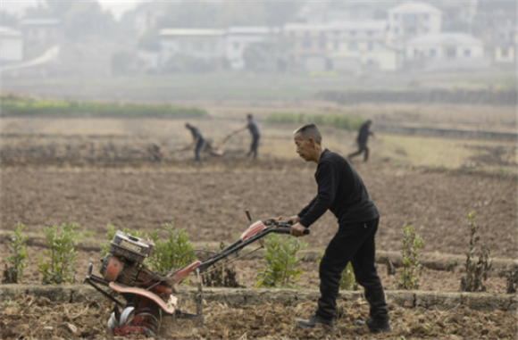 2月7日，在位于四川省泸县海潮镇的泸县种业现代农业园区里，农民用旋耕机整理田地。新华社记者 江宏景 摄