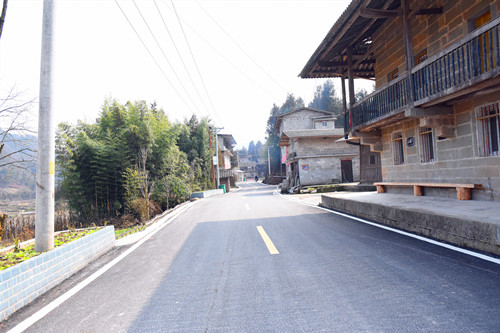 双塘村干净整洁的公路和房屋。特约通讯员 隆太良 摄