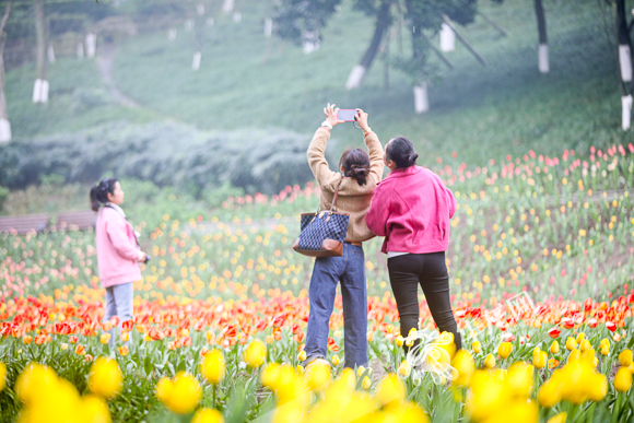 Visitors are taking photos in Wetland Flower Valley.