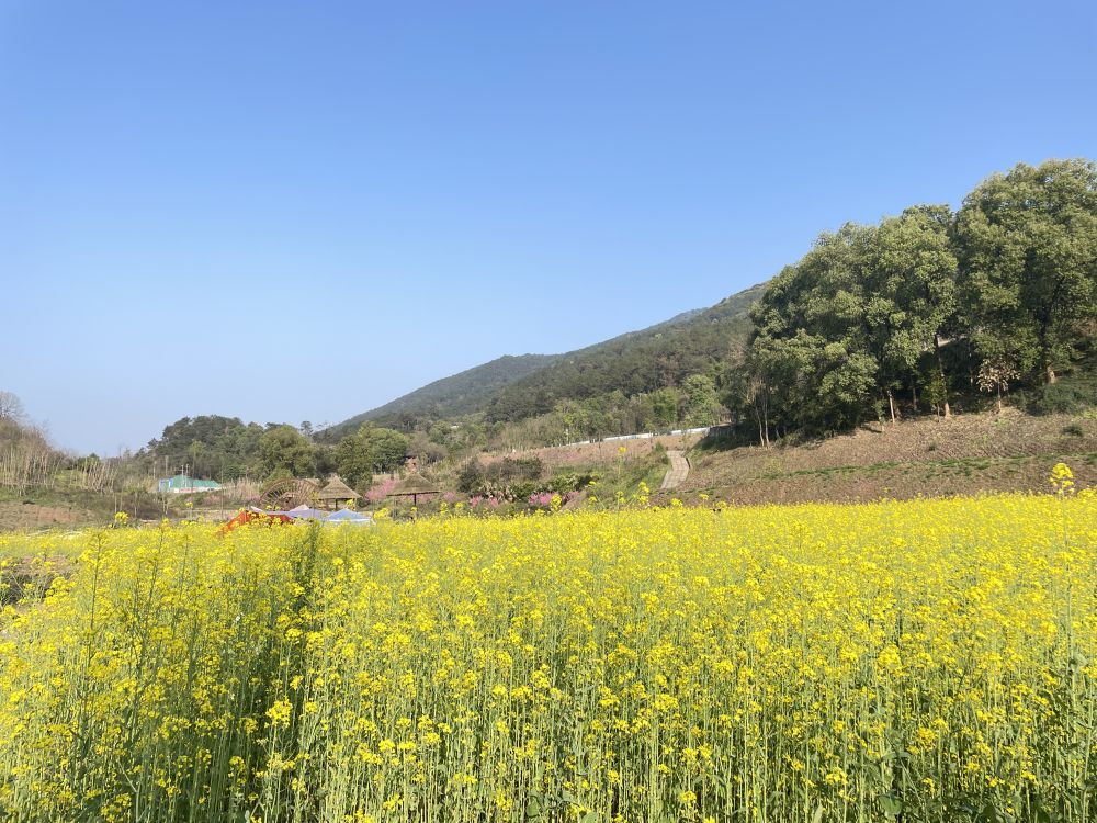 “古村落”的“新春天”4