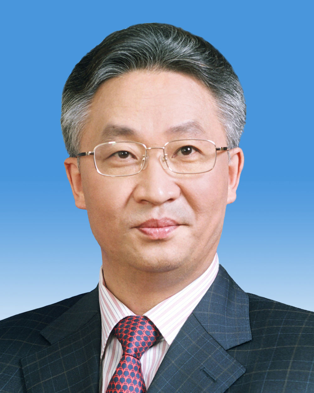 国务院副总理简历3