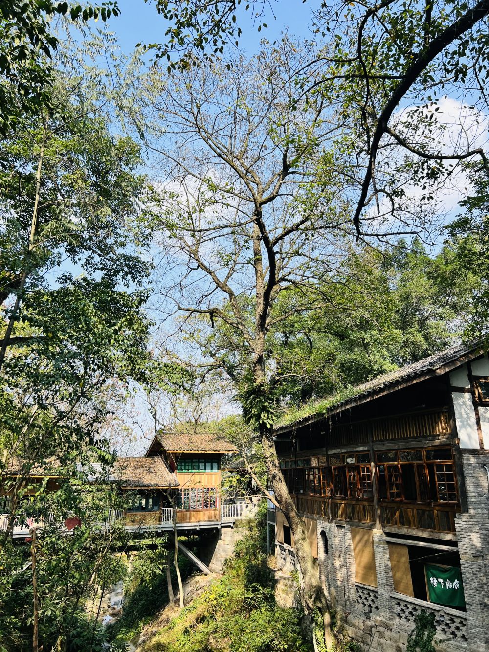 “古村落”的“新春天”11