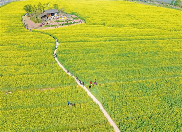 Tourists are walking on a path of flowers. (Photographed by Guo Xu)