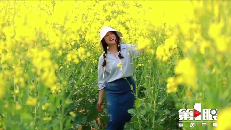 川渝好风光 | 梁平：油菜花开黄艳艳6