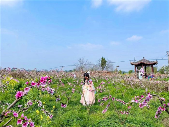 游客身着汉服在桃林赏花。记者 邓越月 李彦亭 摄