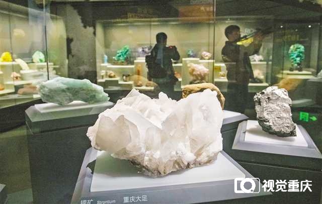 重庆自然资源科普馆开馆 一馆看遍山城8亿年地质与生命演化3