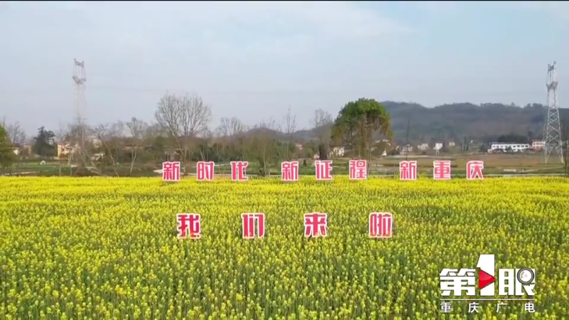 川渝好风光 | 梁平：油菜花开黄艳艳3