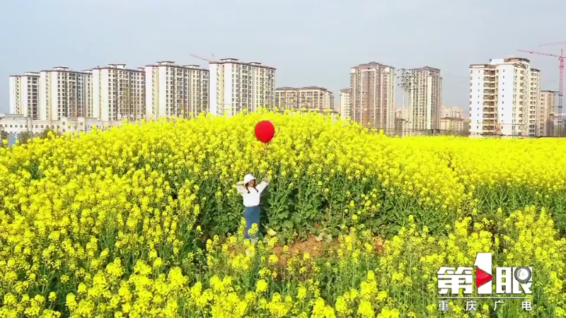 川渝好风光 | 梁平：油菜花开黄艳艳2