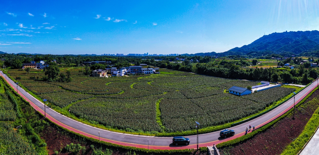 铜梁西郊环线四好农村路。重庆市公路事务中心供图